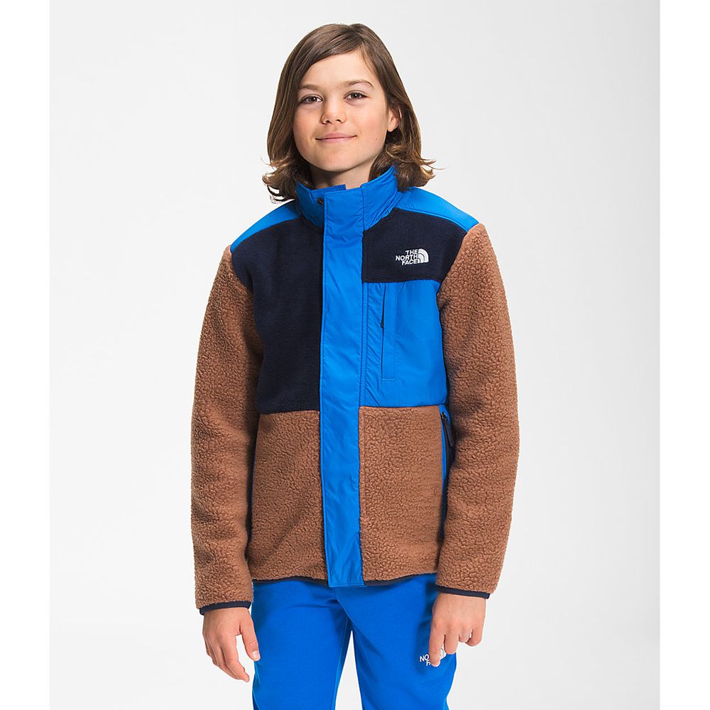 The North Face Full Zip Jacket Boys Australia - The North Face Forrest Mixed-Media Brown (HKJ-768143